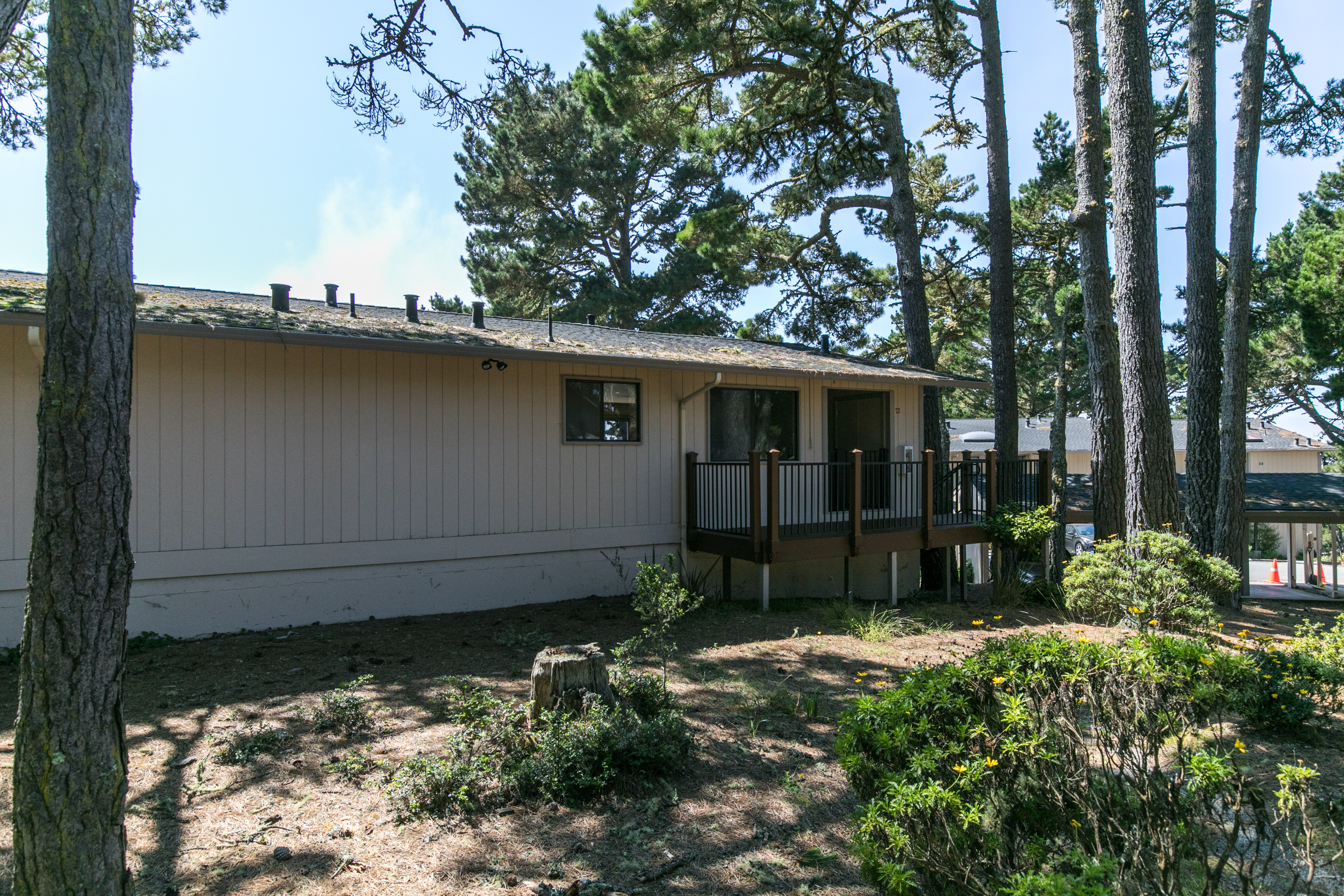 Exterior of 250 Forest Ridge Road