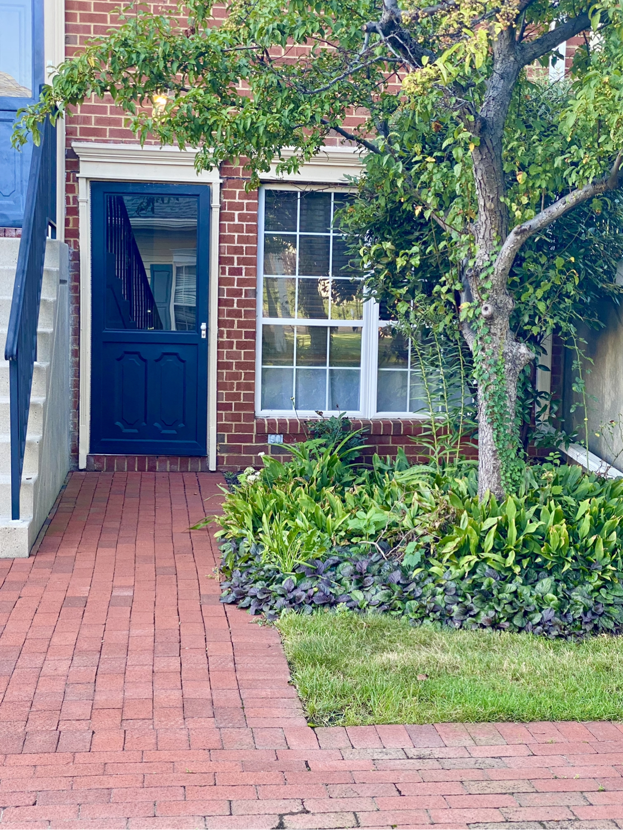 Exterior of 163 Cottonwood Street