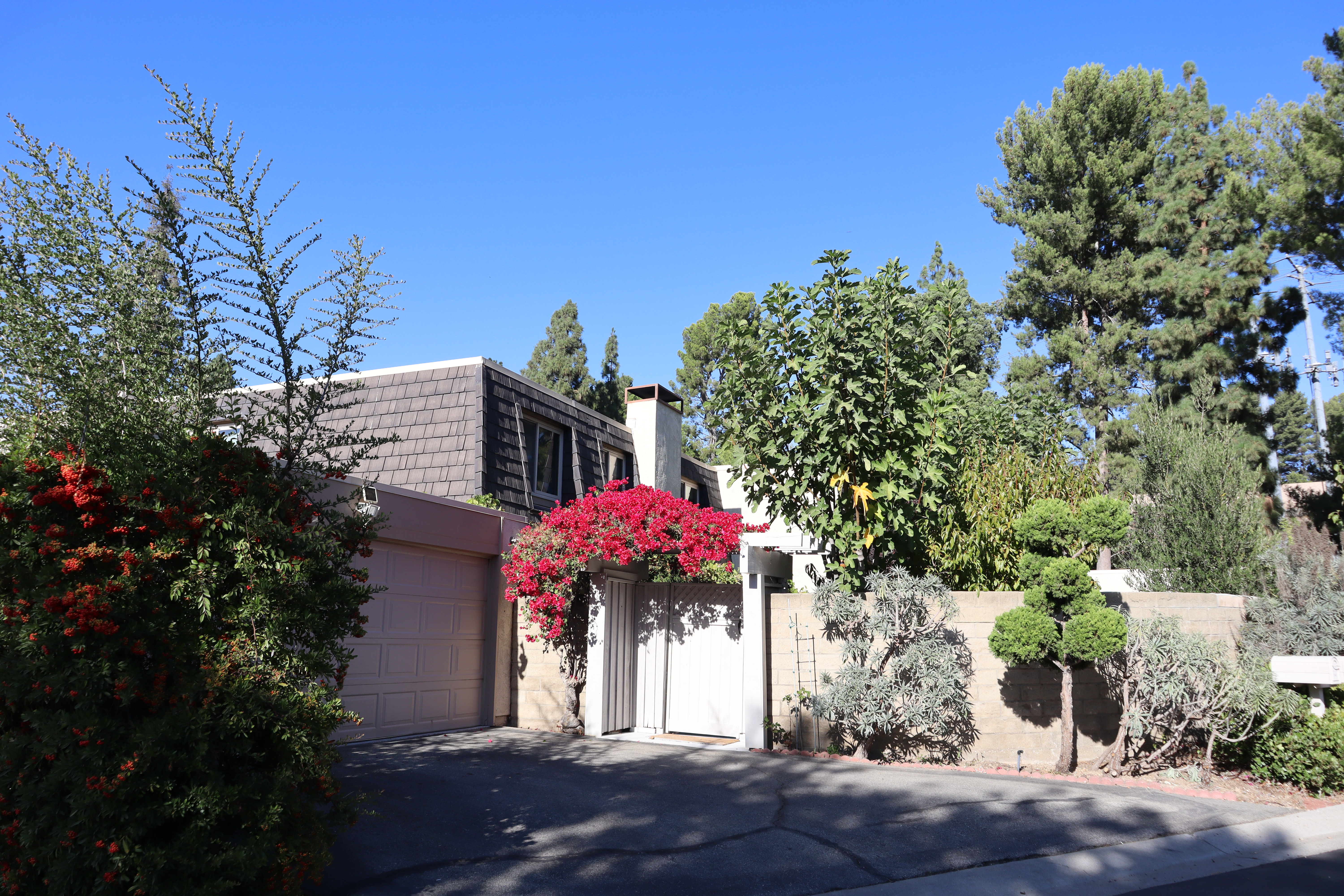 Exterior of 1545 Eucalyptus Circle