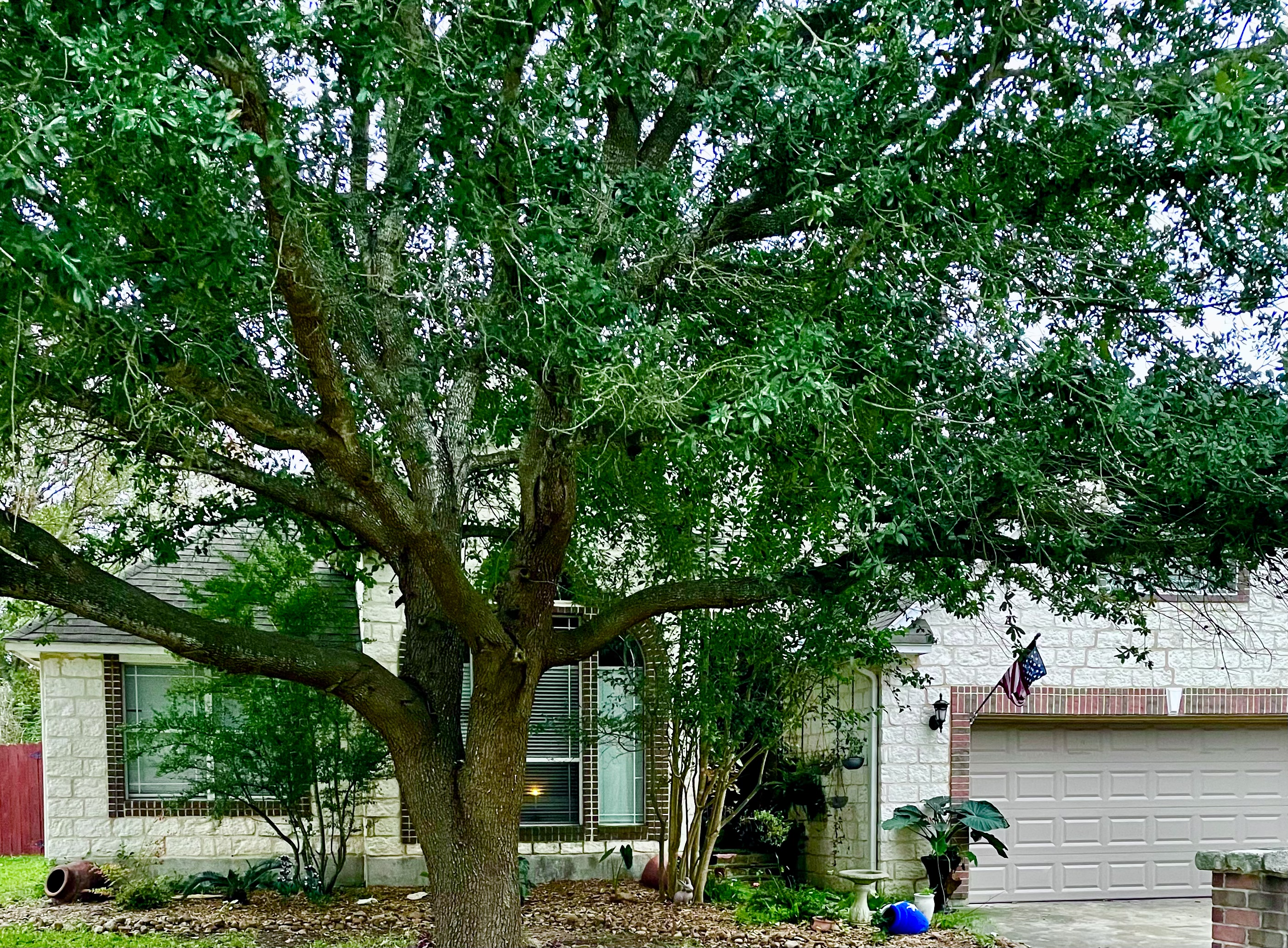 Exterior of 2142 North Ranch Estates Boulevard