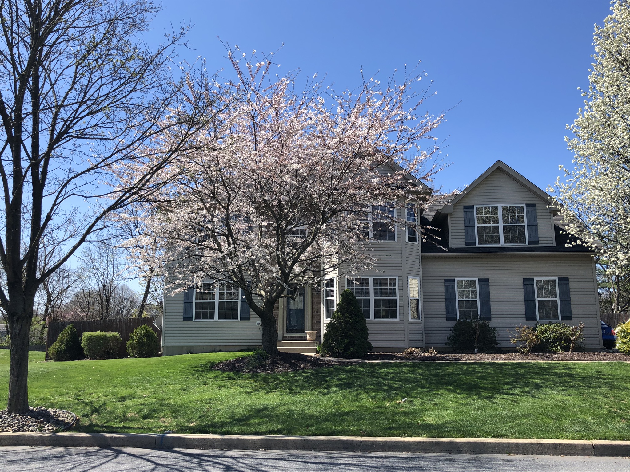 Exterior of 1556 Thornwood View North