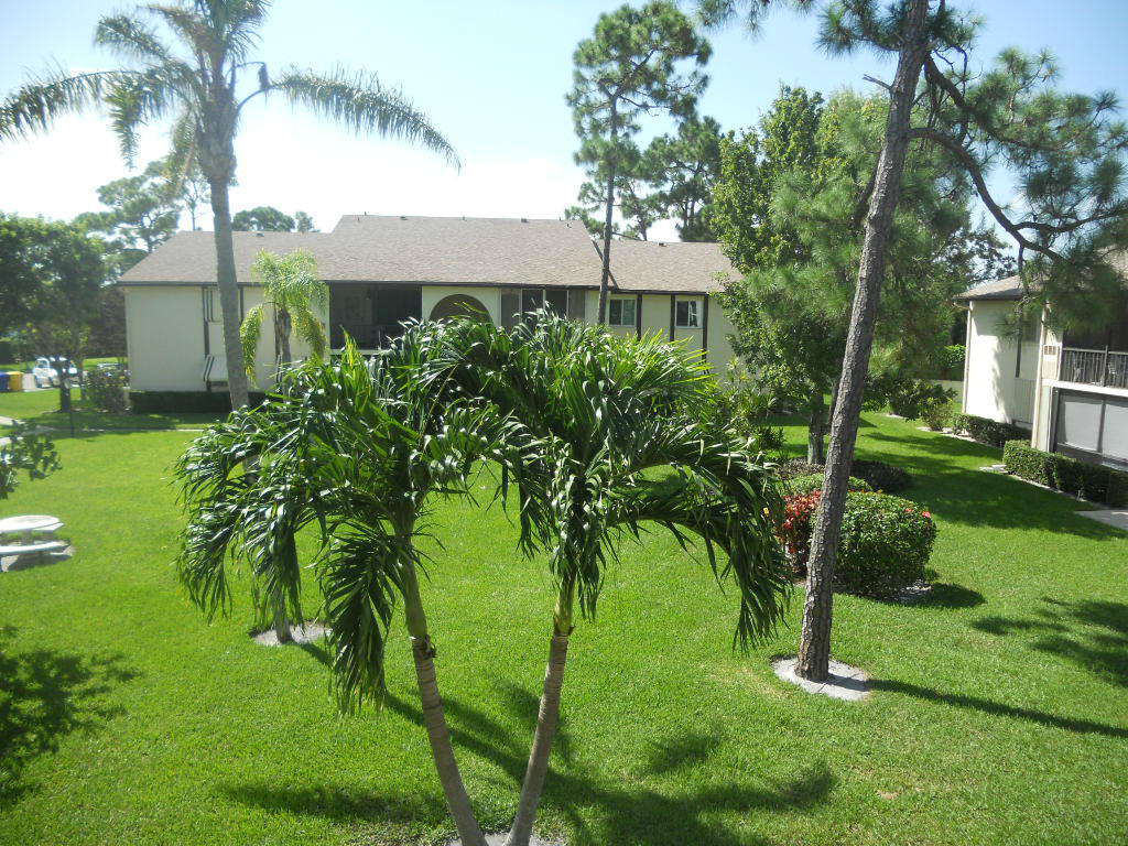 Exterior of 3561 Pine Tree Court